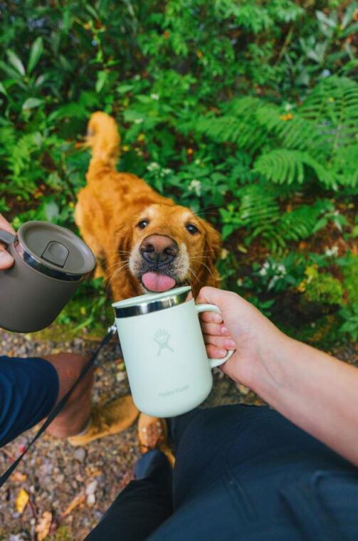 Hydro Flask Mug Termos 355 ml (12 Oz) - Sandpiper Kahverengi - 6