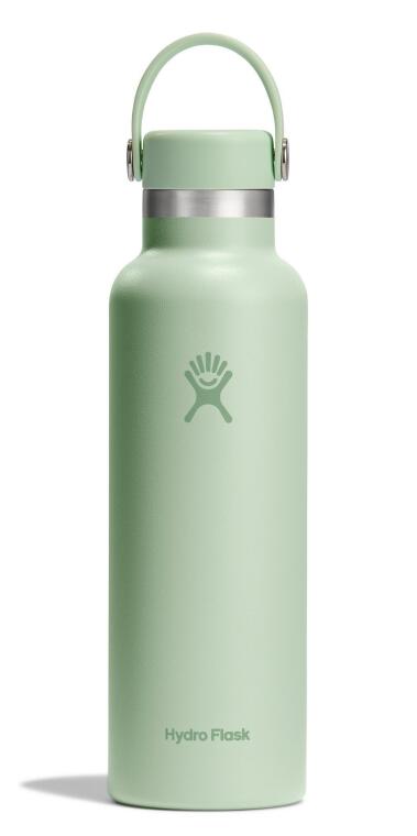 Hydro Flask Standard Kapak Termos 621 ml (21 Oz) - Aloe Yeşil - 1